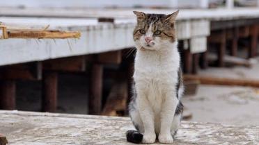 Наслідки шторму в Одесі _2 / © Думская