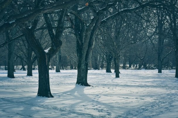 Народні прикмети 27 грудня / © pexels.com