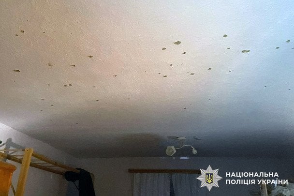 Під Хмельницьким вибухнула граната у руках дитини, матір у лікарні. / © Національна поліція Хмельницької області