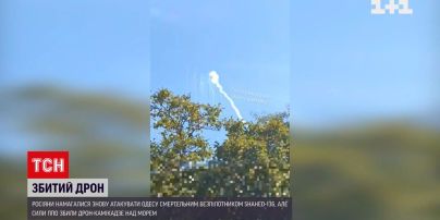 Збили "летючу балалайку" - в Одесі в море шубовснув іранський дрон-камікадзе
