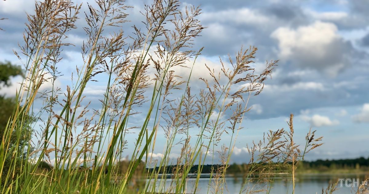 Гороскоп на 6 вересня для всіх знаків Зодіаку