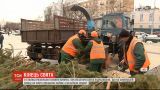 В Киеве демонтировали елку и подсчитали сколько под ней съели тонн мяса