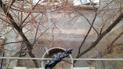 В російському Орську через відсутність водопостачання набирають дощову воду у відра