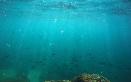 Науковці: руйнування океанічної екосистеми може знищити людство через 25 років