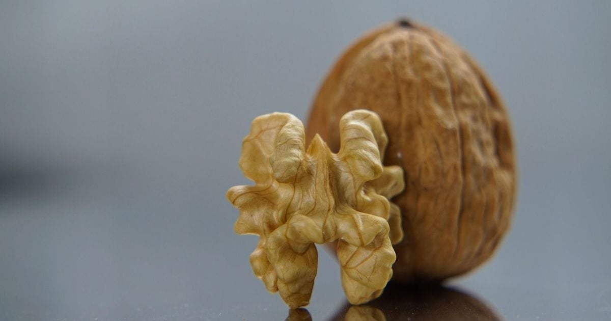 Чи справді горіхи – ідеальна їжа для мозку, що каже наука?