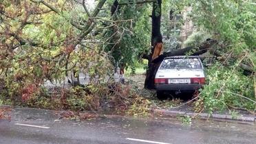 Повалені дерева в Одесі_2 / © ТСН.ua