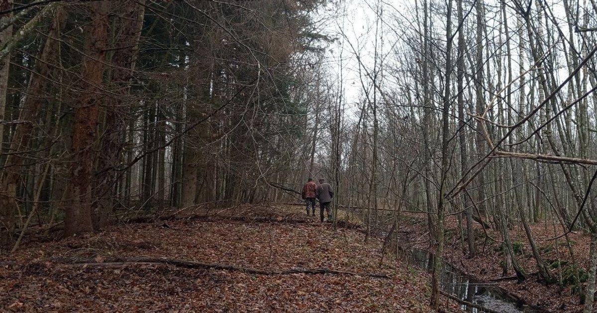 У волинському лісі знайшли загадкові гриби (фото)