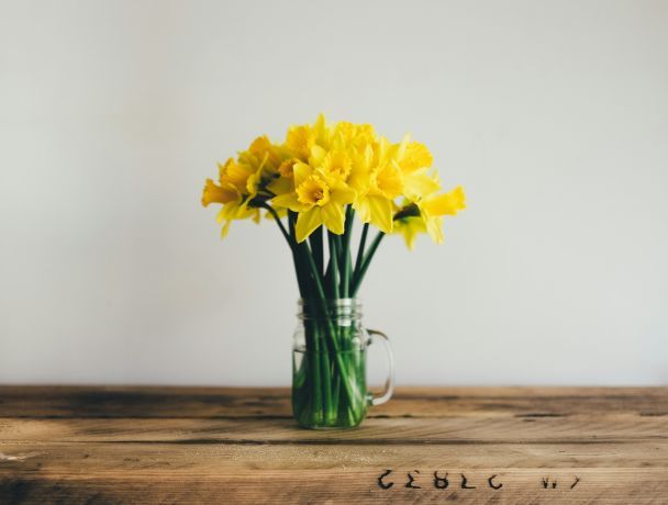 День ангела 17 квітня — душевні привітання в прозі і віршах / © Unsplash