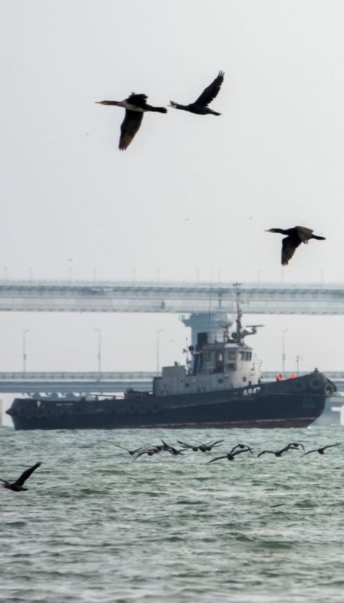 ВМС відремонтували звільнений з полону Росії буксир "Яни Капу"