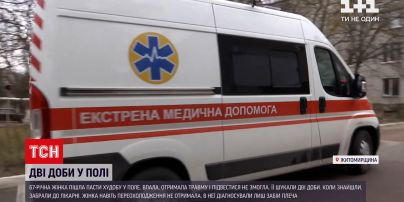 Новини України: до лікарні в Житомирській області доправили незвичайну пацієнтку