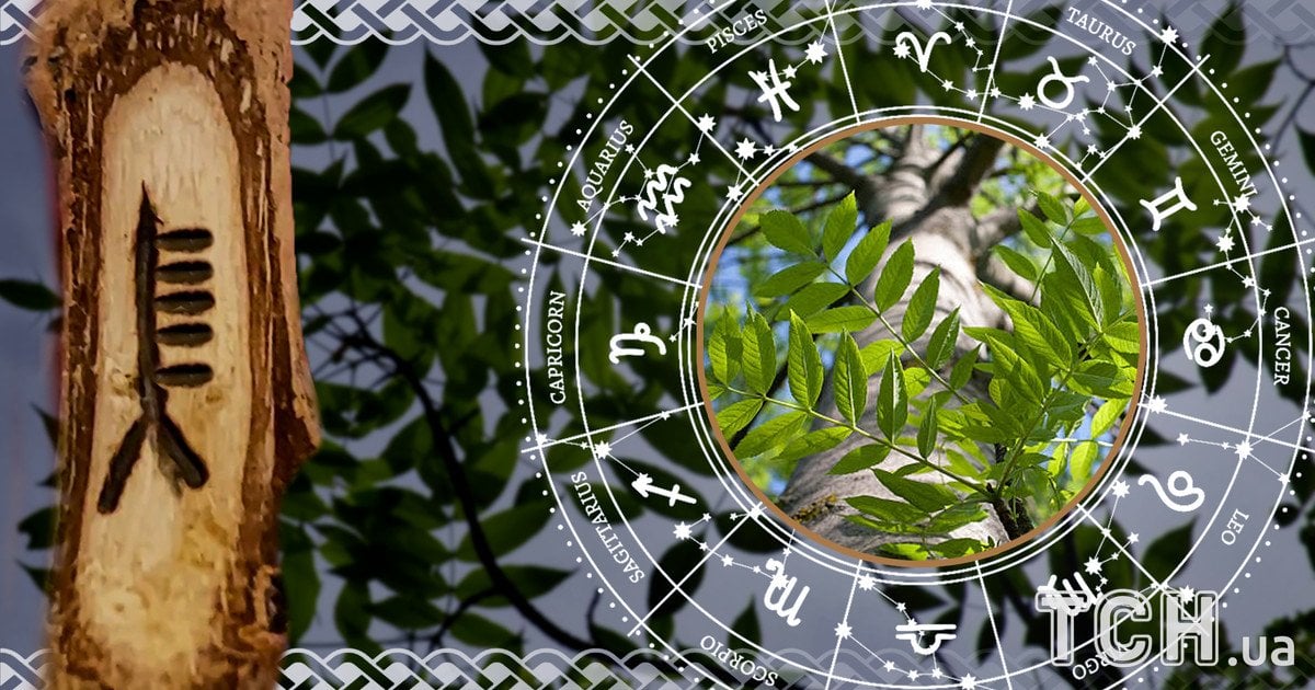 Кельтський гороскоп дерев