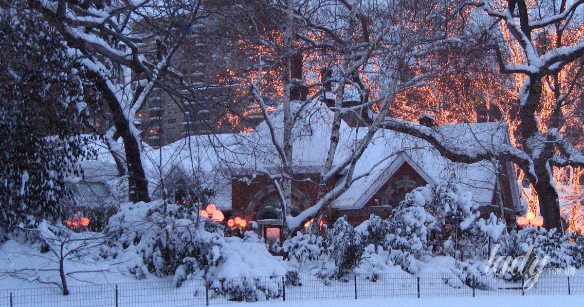 Важливі завдання, які потрібно зробити у саду та городі в січні