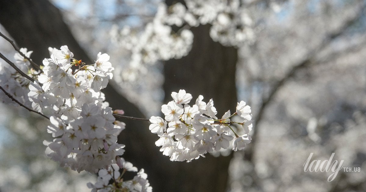 Гороскоп на квітень 2026 року