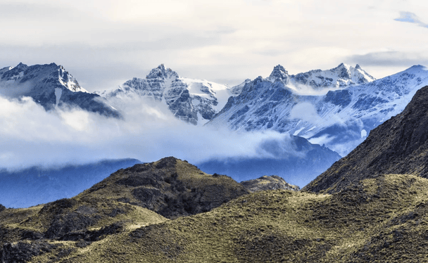 Национальный парк Патагонии является домом для целого ряда видов животных, в частности андского кондора, оленя уэмуля, дарвиновского нанда и пумы. / © Discovery News