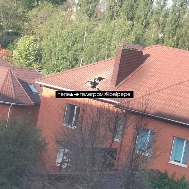  / © із соцмереж