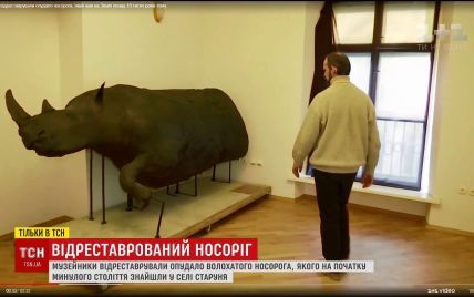 У Львові відновили зовнішність волохатого носорога, який колись давно блукав Карпатами