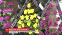Жертви Голокосту: кропивничани запалили ритуальну свічку на місці, де збирали євреїв