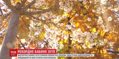 Бабине літо в Україні найтепліше та найдовше за всю історію спостережень