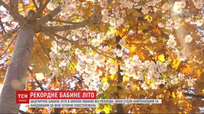 Бабине літо в Україні найтепліше та найдовше за всю історію спостережень