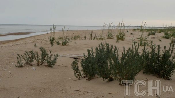 Порно видео Нудиском пляж в затоке. Смотреть видео Нудиском пляж в затоке онлайн