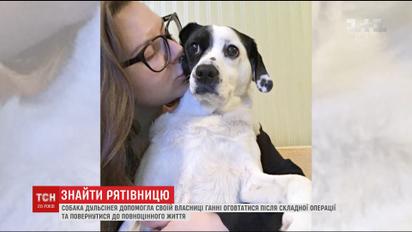 Поиски Дуни: киевлянка разыскивает пропавшую собаку, которая помогла ей прийти после тяжелой болезни