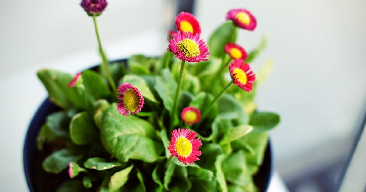 Какой праздник 24 апреля?