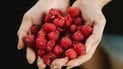 Продукты с высоким содержанием клетчатки