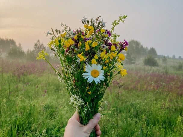 День ангела 23 червня — душевні привітання в прозі / © pexels.com