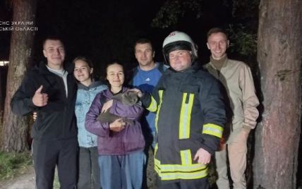 На Київщині рятувальники знімали з дерева жінку, яка полізла туди за котом (фото)
