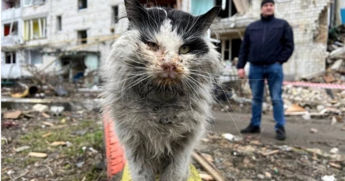Фото: Кристина Бердыских