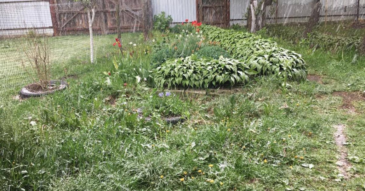 На Чернігівщині раптово пішов сильний град. Відео