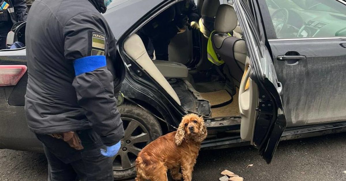 Украинка пыталась вывезти за границу 17 килограммов наркотиков: фото, видео