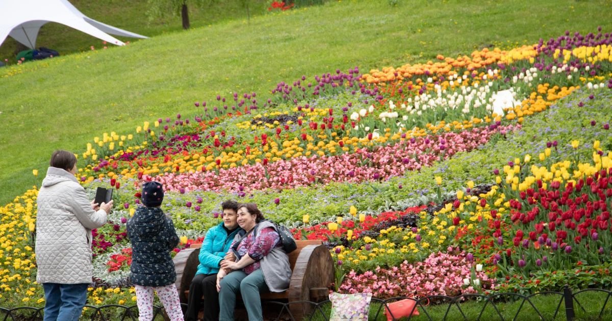 Виставка тюльпанів_Співоче поле_2 / © КМДА