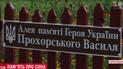 Мати Героя Небесної Сотні взялася власноруч прикрашати вулицю його імені
