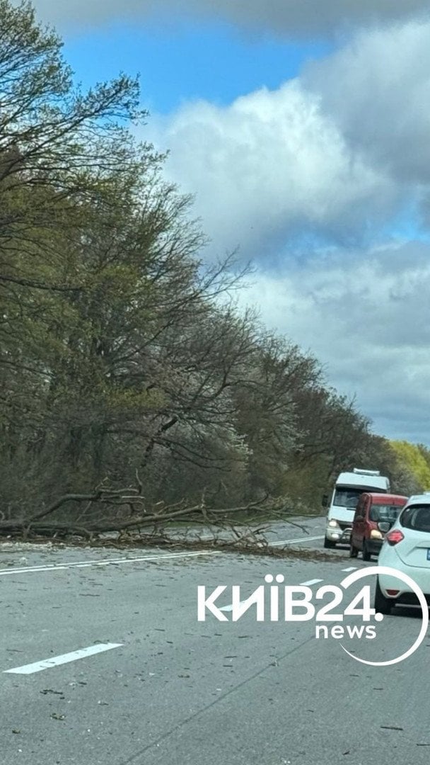 Наслідки негоди / © "Київ24"