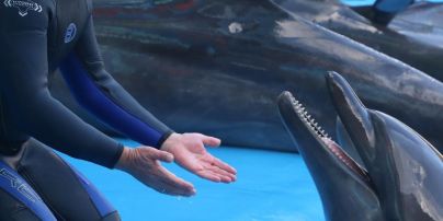 55-річний Віктор Павлік верхи на дельфінах шокував трюками