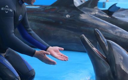 55-річний Віктор Павлік верхи на дельфінах шокував трюками
