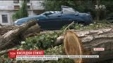 Ураган в Рубежном повалил сотни деревьев и сорвал крыши с домов