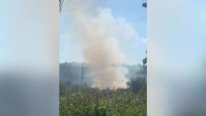 На виїзді із Києва горить ліс: у Мережі з'явилися відео масштабної пожежі