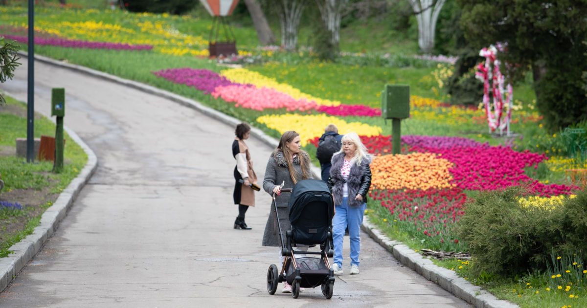 Виставка тюльпанів_Співоче поле_4 / © КМДА