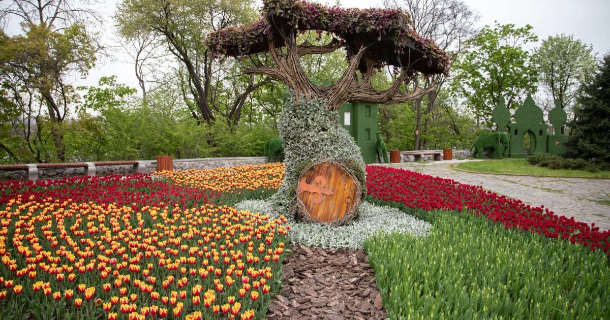 Виставка тюльпанів_Співоче поле_6 / © КМДА