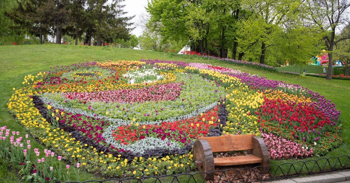 Виставка тюльпанів_Співоче поле_7 / © КМДА