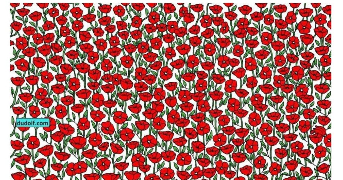 Візуальна головоломка// джерело: jagranjosh.com