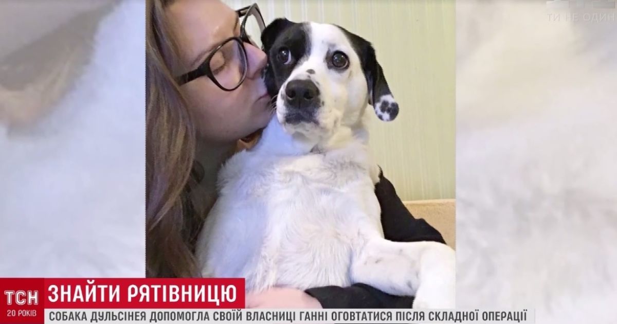 Киевлянка ищет пропавшего песика, который спас ее жизнь