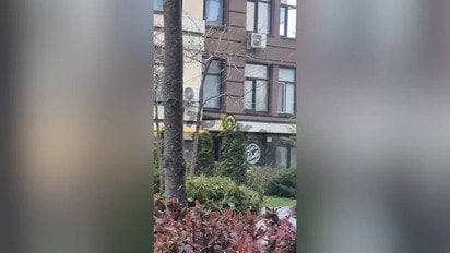 Сніг у Києві 28 квітня зняли на відео