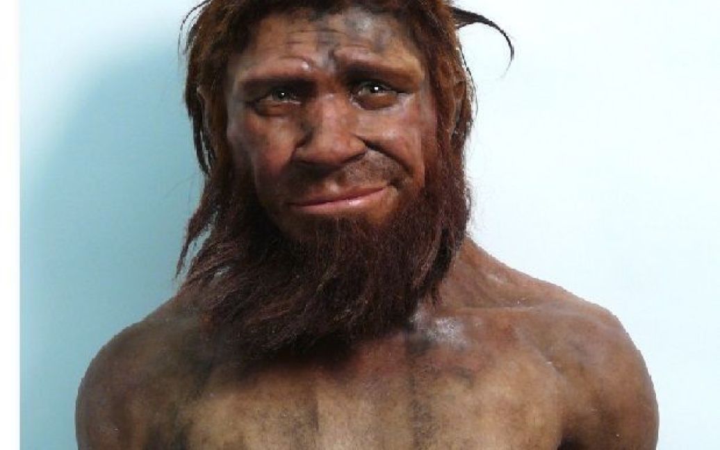 Пользователи Интернета осовременили неандертальца из бельгийского музея / © Mashable