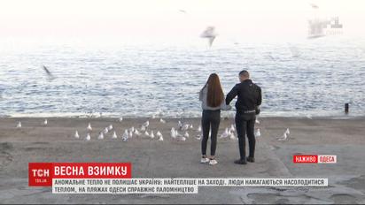 +13 в Одесі: люди насолоджуються погодою, дехто купається в морі