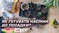 Готуємось до посівного сезону: як правильно готувати насіння до посадки
