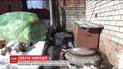 У Дніпрі місяць не можуть прибрати рештки собаки, померлої від небезпечного лептоспірозу