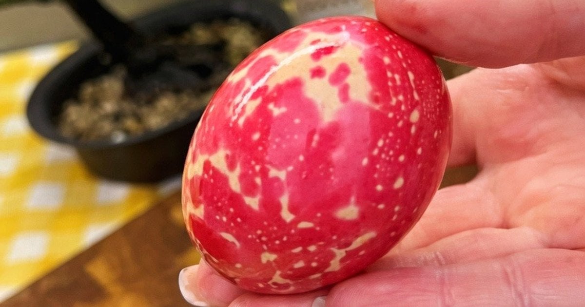 Крашанки tiktok.com/@hryshkina.katia